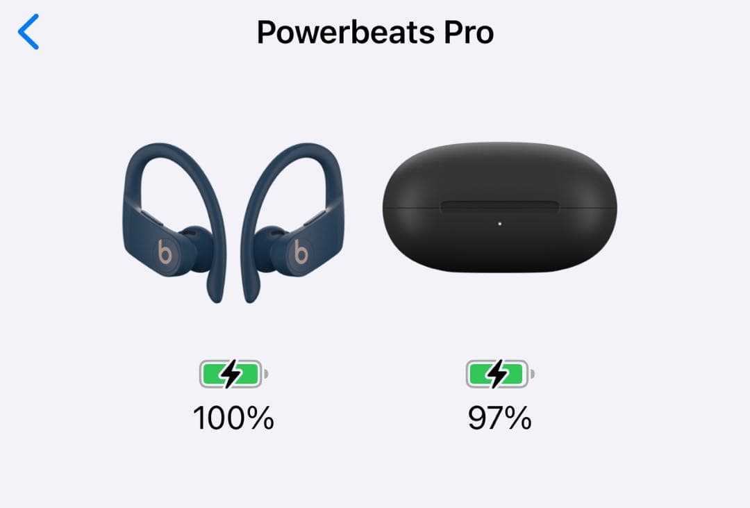 パワービーツプロ Power Beats Pro ネイビー