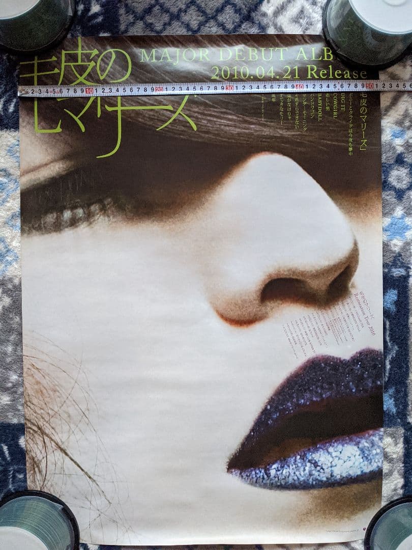 毛皮のマリーズ　ポスター　2枚セット　ディスクユニオン