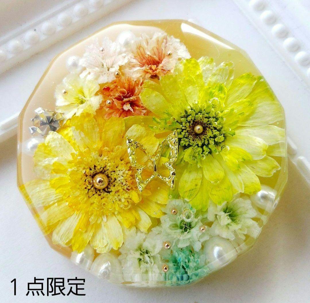 【1486】たまごらいふ　レジン　ヘアゴム　ポニーフック　ブロ―チ