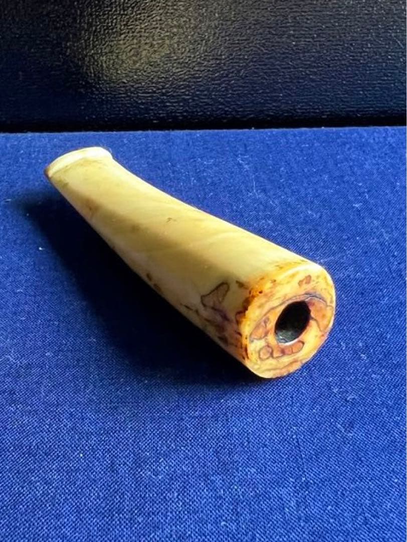 パイプ　鯨歯