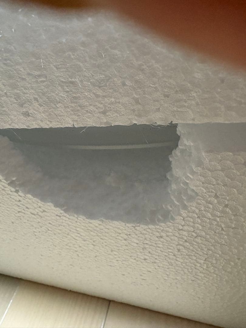 シーリングファンライト LED ファン付き照明 首振り リモコン 6-8畳