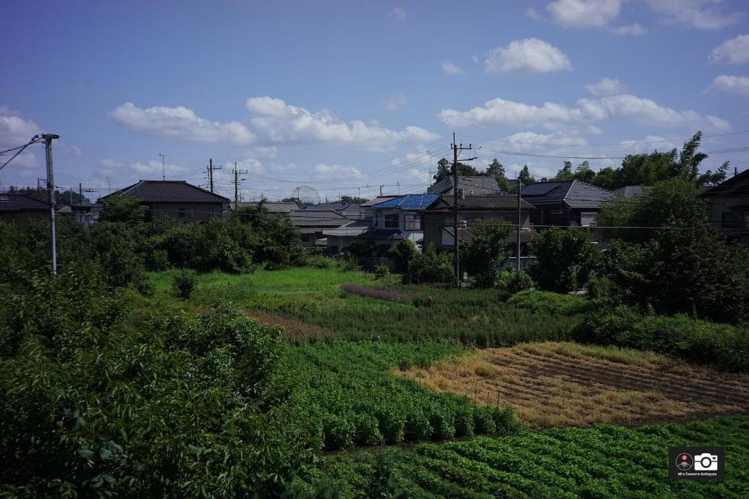 希少美品Canon 50mm F/1.5 ライカＬマウントレンズ整備済
