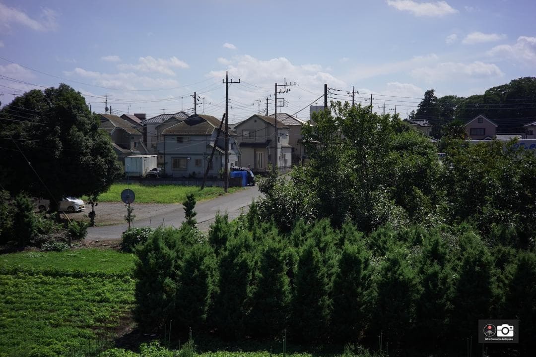 希少美品Canon 50mm F/1.5 ライカＬマウントレンズ整備済