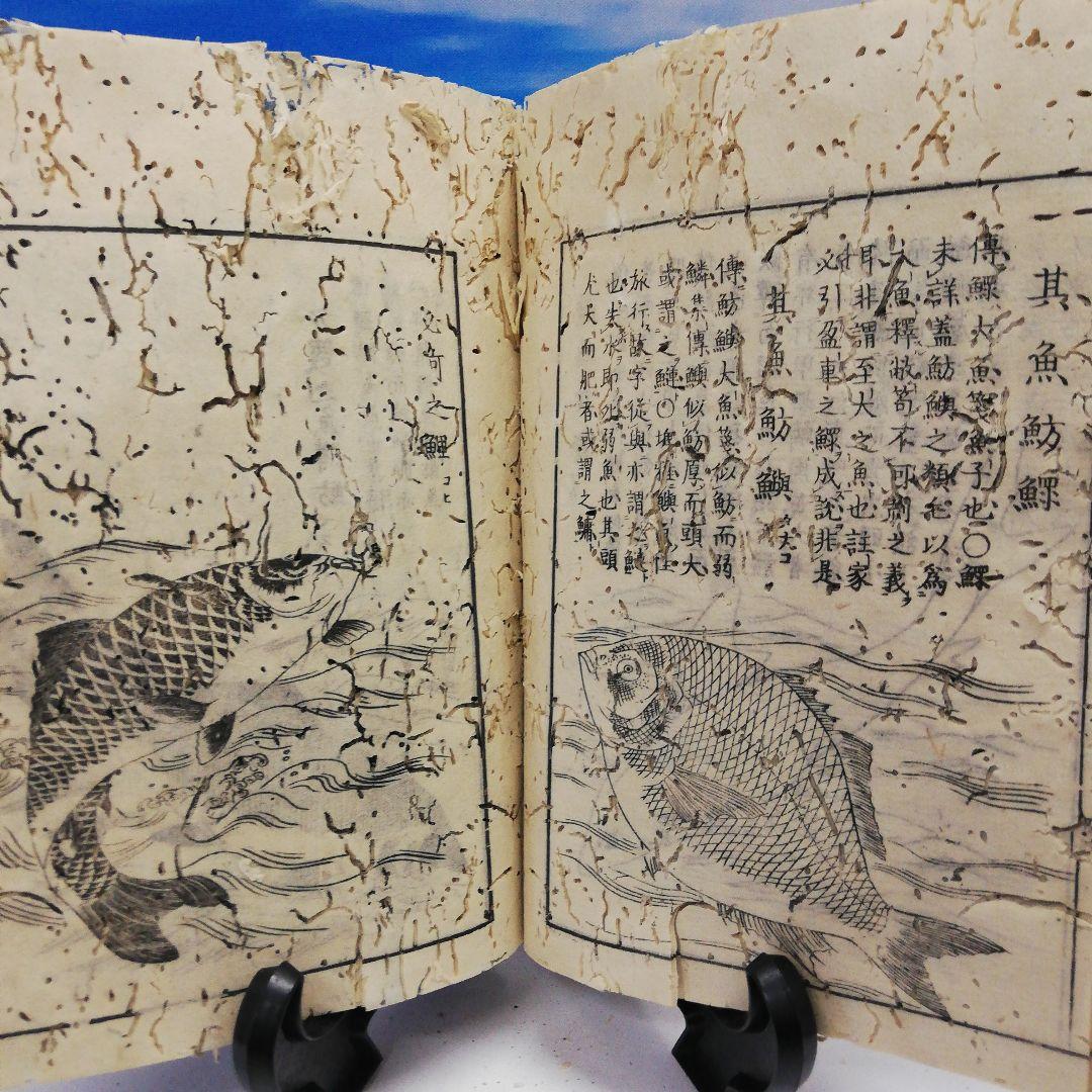 江戸時代中期宝暦年間１７５８年頃当時物凄まじい古書残骸虫喰い内容面白い当時物二点