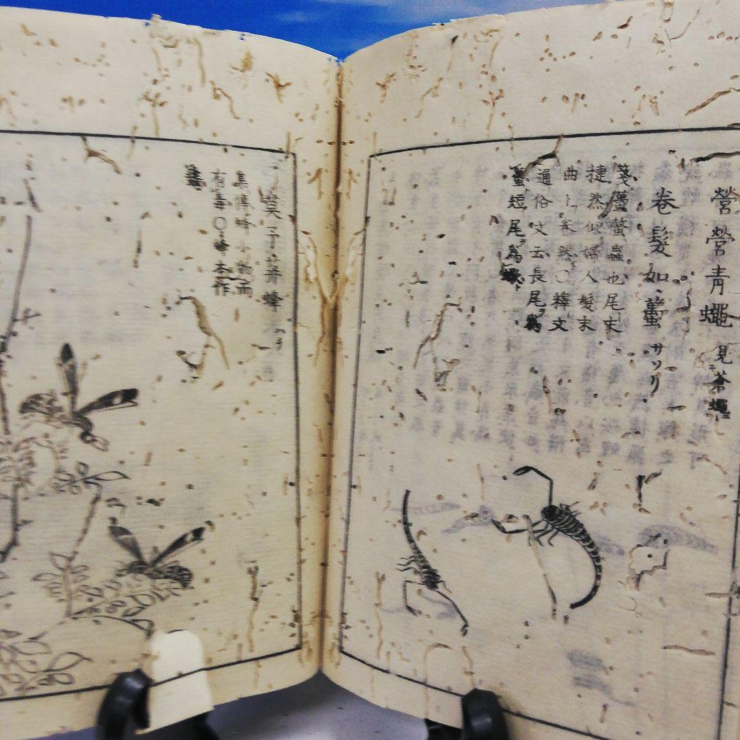 江戸時代中期宝暦年間１７５８年頃当時物凄まじい古書残骸虫喰い内容面白い当時物二点