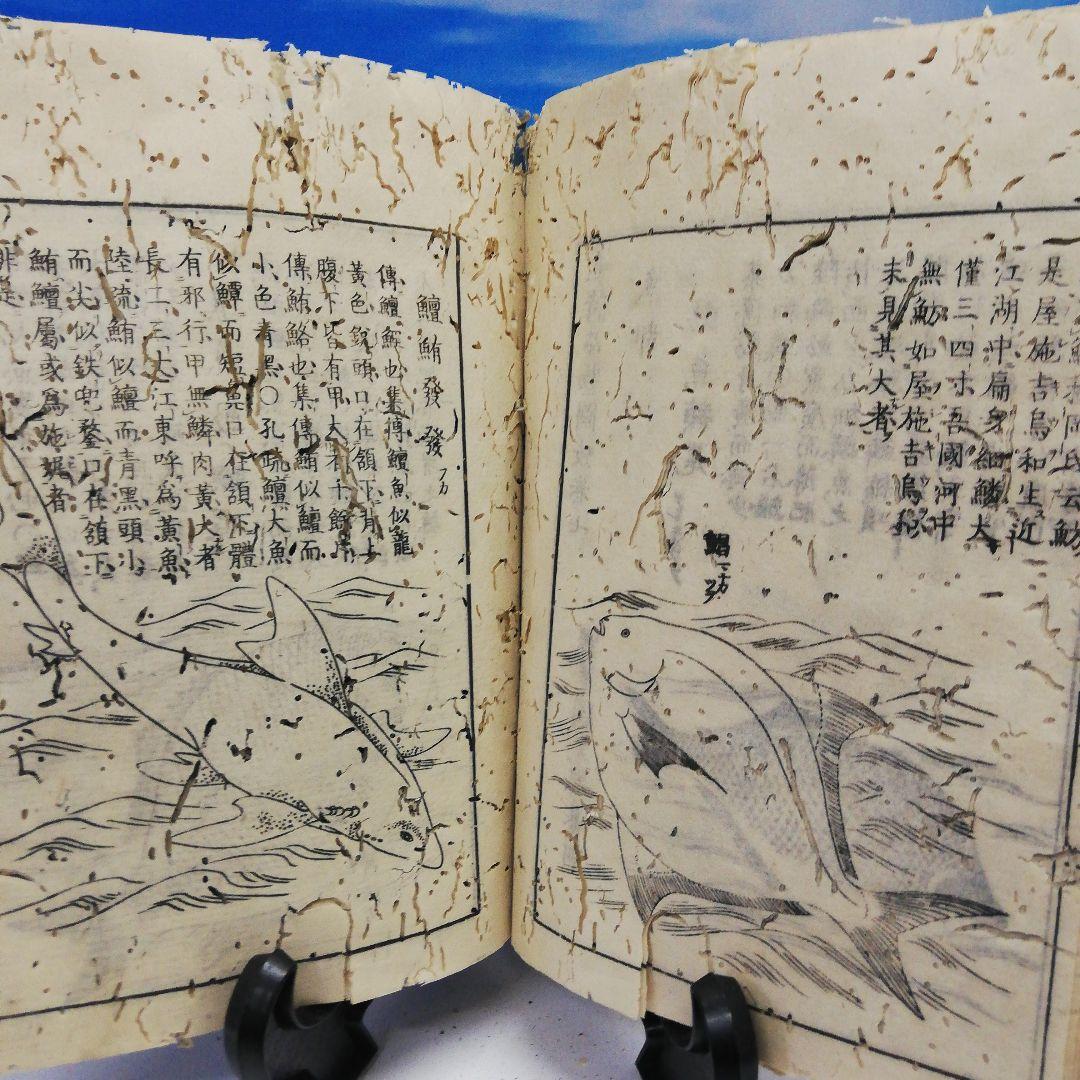 江戸時代中期宝暦年間１７５８年頃当時物凄まじい古書残骸虫喰い内容面白い当時物二点