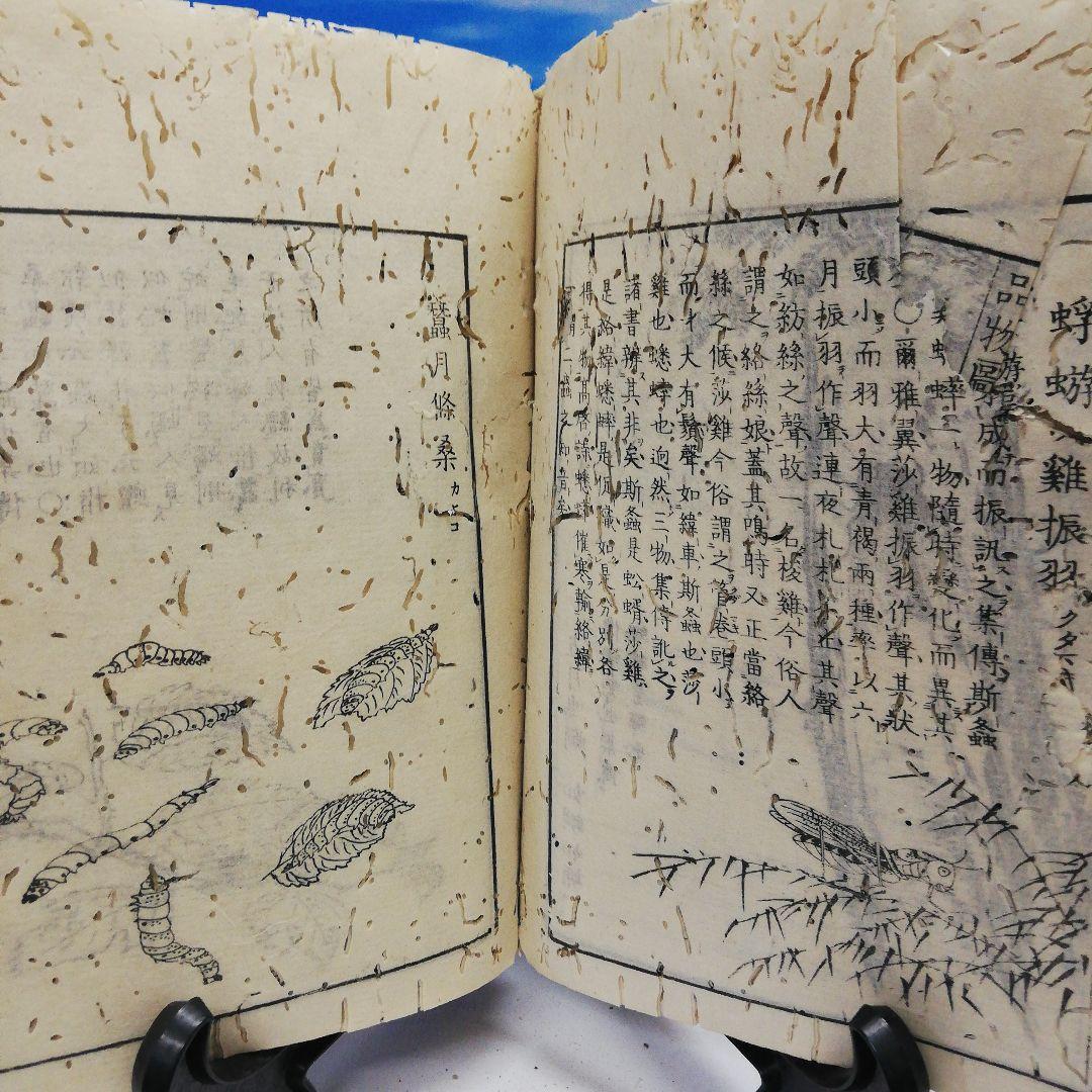 江戸時代中期宝暦年間１７５８年頃当時物凄まじい古書残骸虫喰い内容面白い当時物二点