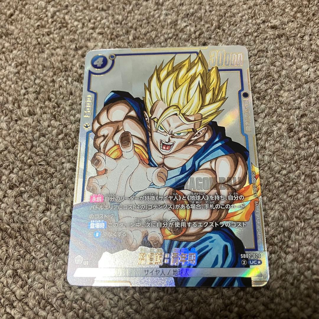 神龍 孫悟飯:青年期 パラレル 2枚