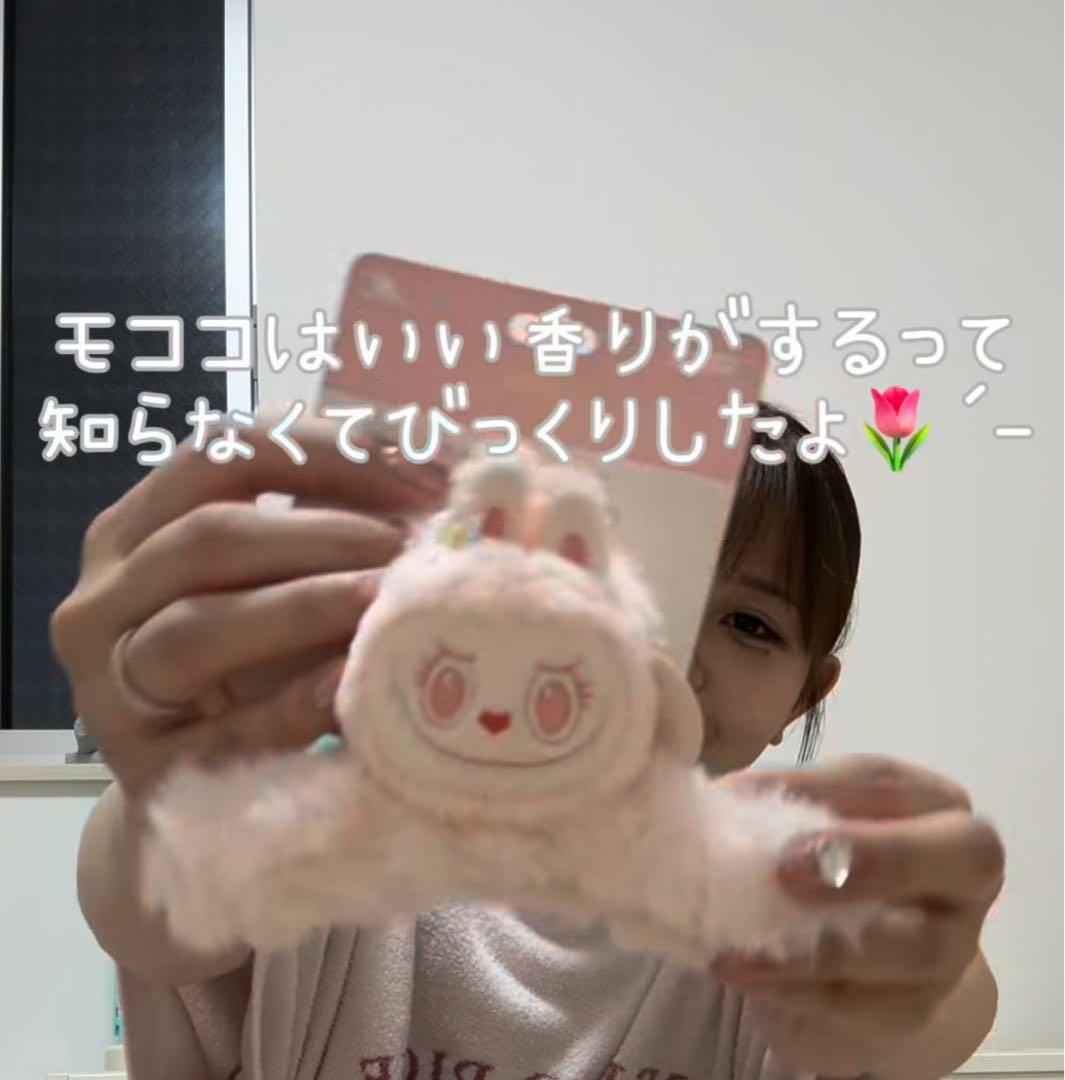 北京POPLAND限定 完売品 モココのグッズおまとめ３点 ひなまつり 桜