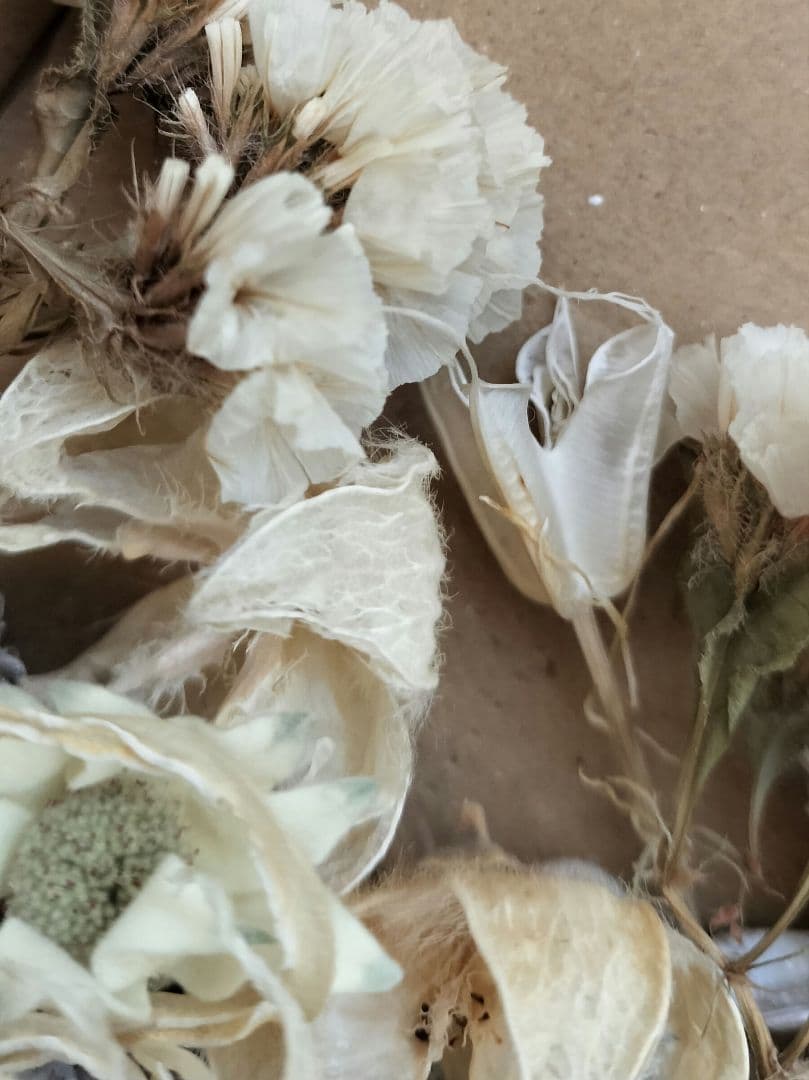 小箱No.６８　ホワイトの木の実とお花のセット（茎なし）
