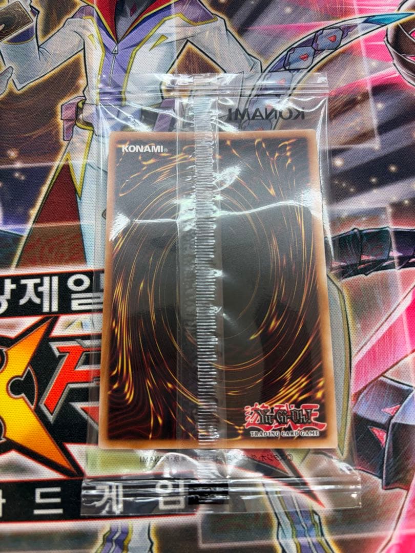 遊戯王　THE LADY'S PROTECTORS