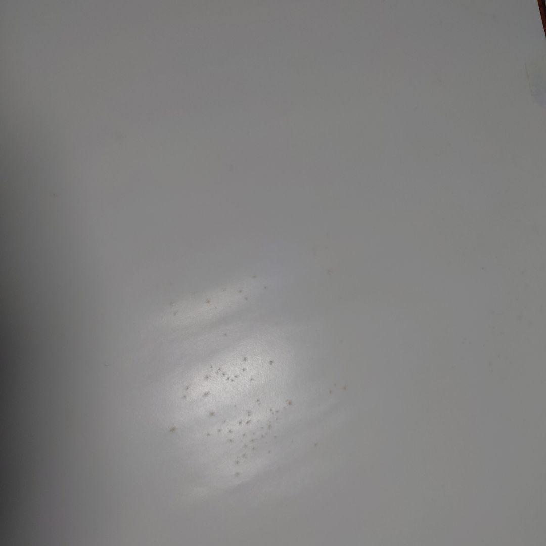 B'z 稲葉浩志 ソロポスター 4枚セット