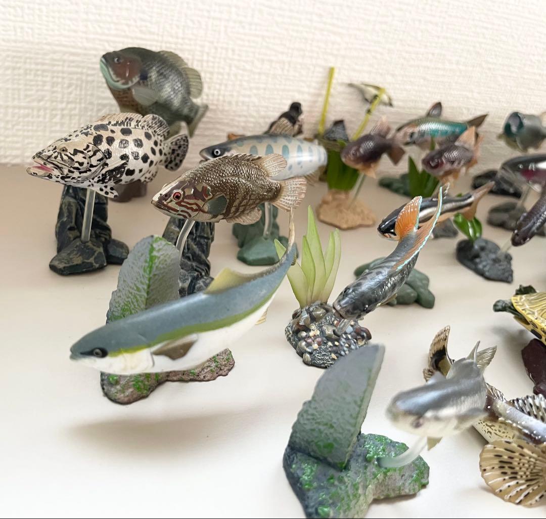 ユージン　海洋堂　原色淡水魚図鑑I 原色淡水魚図鑑II 原色観賞用魚　金魚　亀