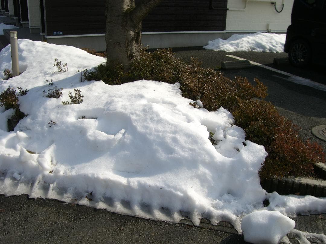 CASIO EXILIM EX-S600 デジタルカメラ