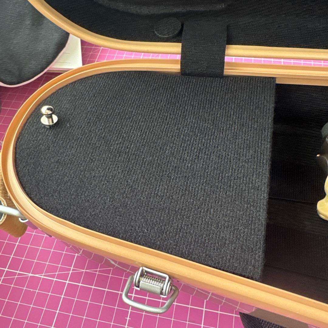 【美品】バイオリンセット 4/4 Nicolo Santi＋Eastmanケース