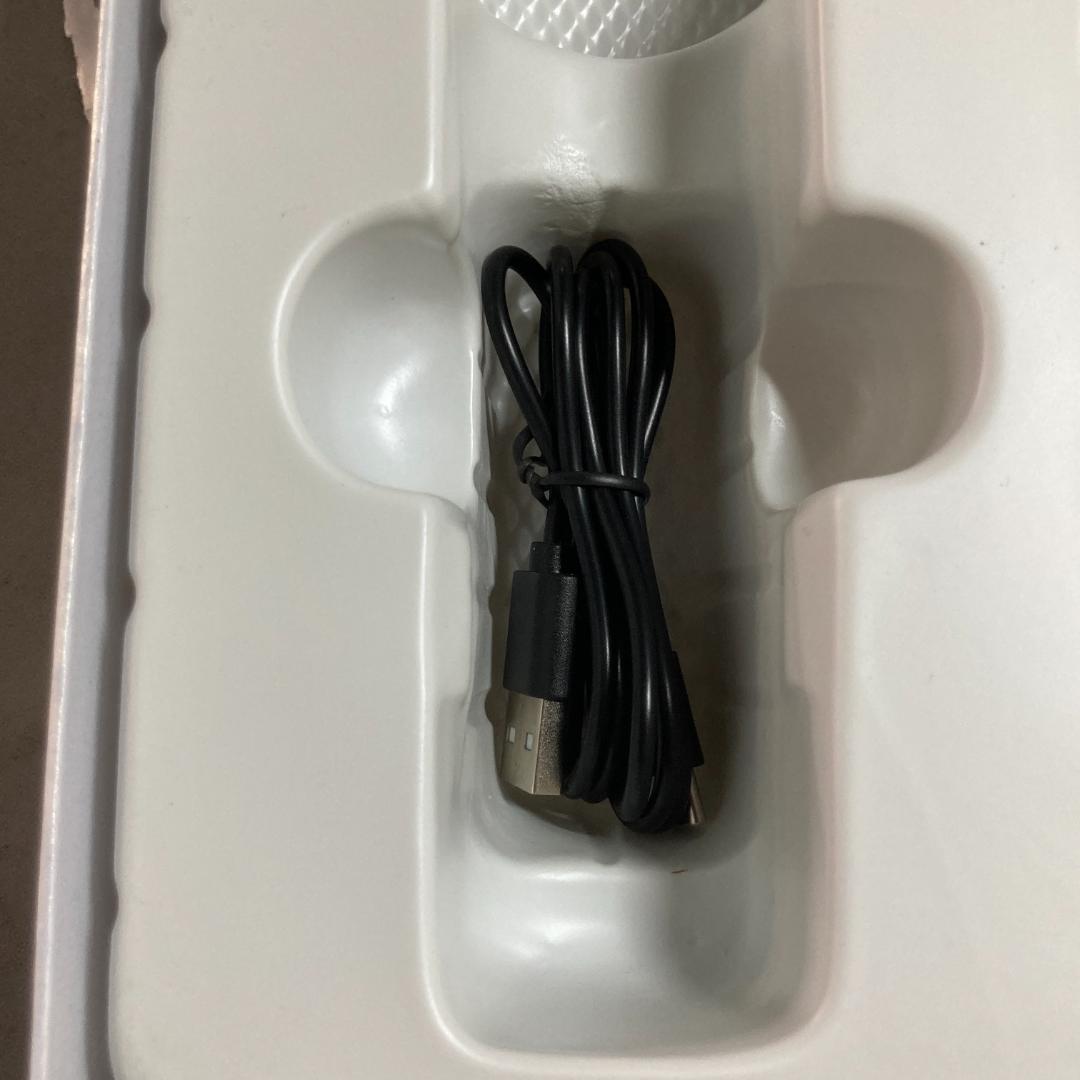 NIPLUX EMS LIFT BRUSH 電気ブラシ EMS 美容家電