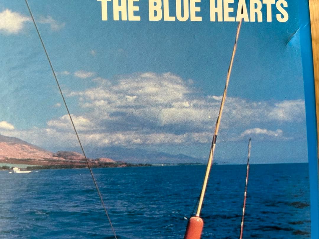 ブルーハーツ パズル