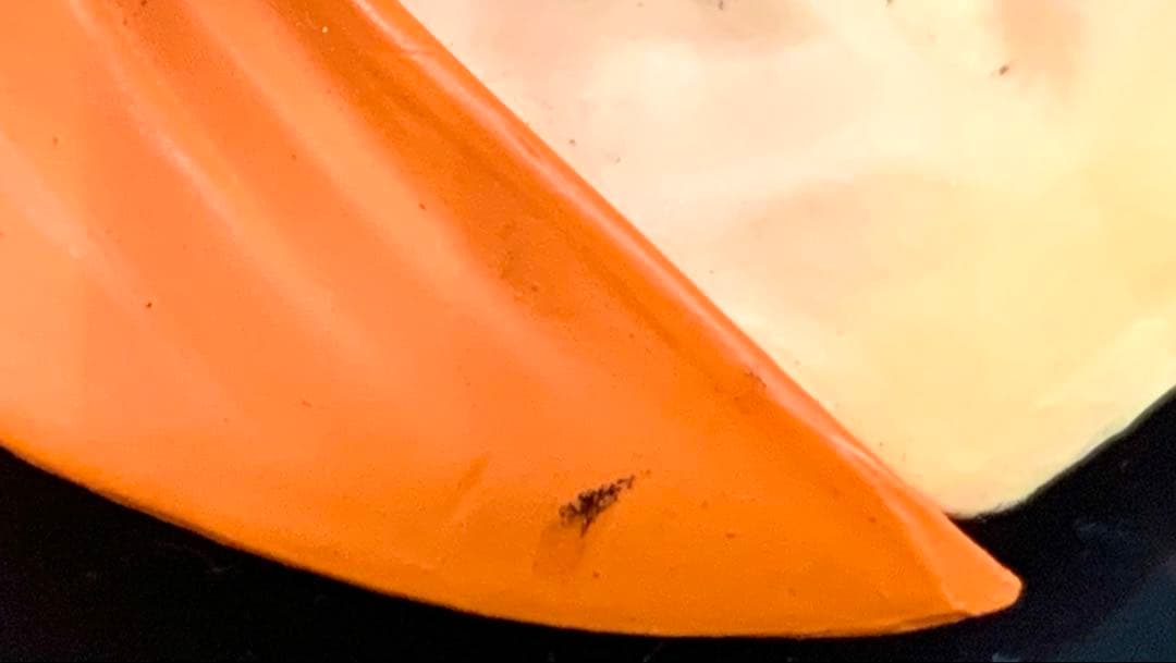 【銀魂】バストアップ 胸像フィギュア 4体セット