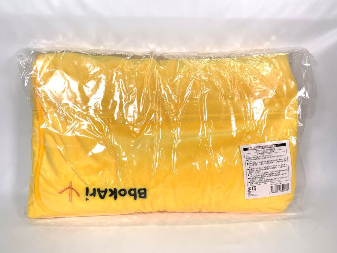 Stray Kids BbokAriブランケット