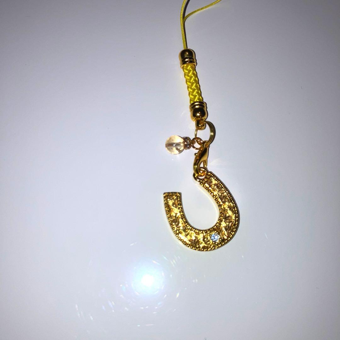 2026年 開運のホースシューキーホルダー‼️
