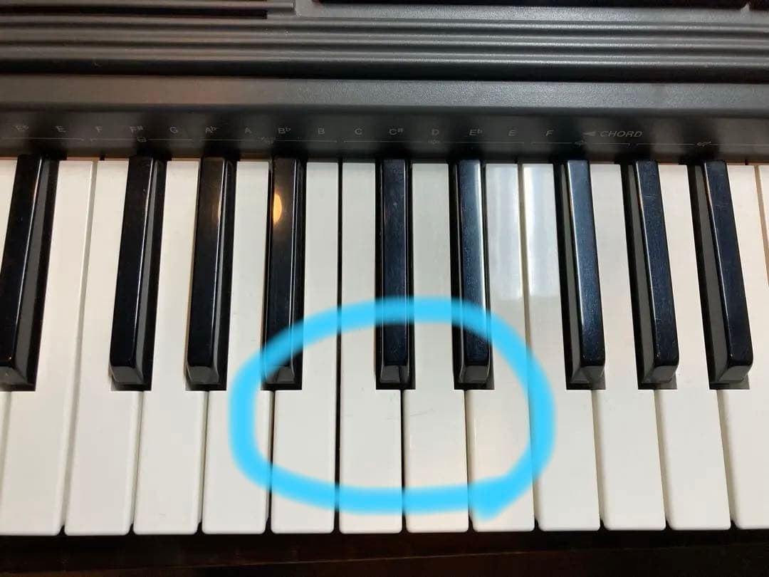 CASIO CTK-550 キーボード