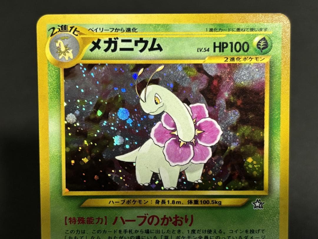 【美品】メガニウム、バクフーン、オーダイル他6枚　旧裏