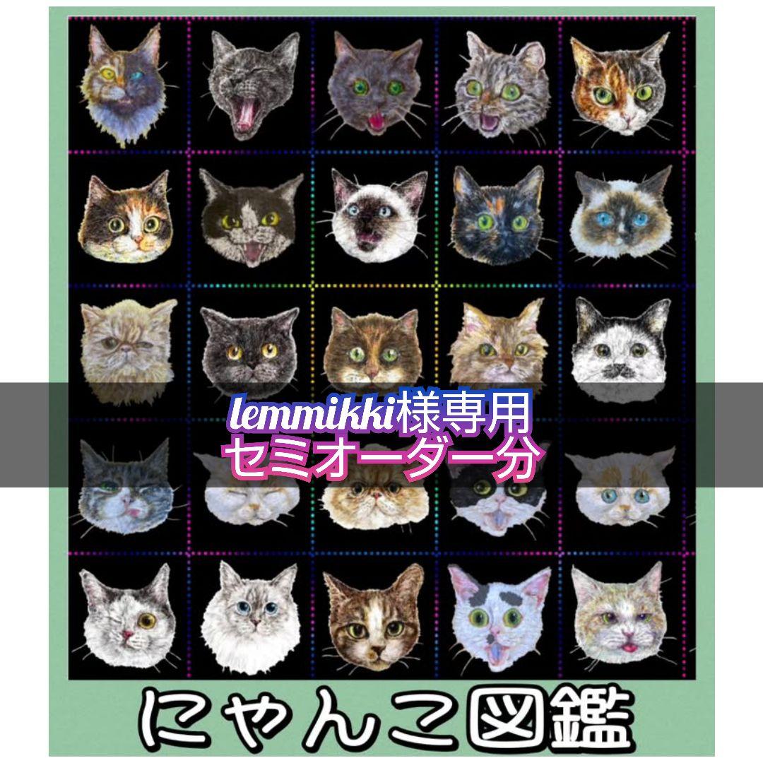 lemmikki セミオーダー分