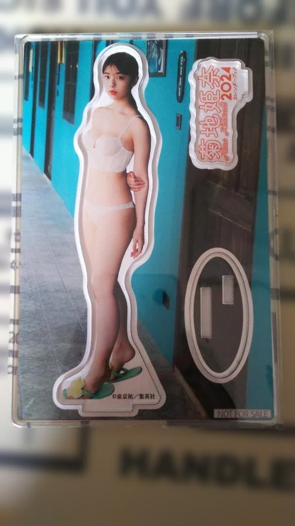 菊地姫奈 アクリルスタンド not for sale