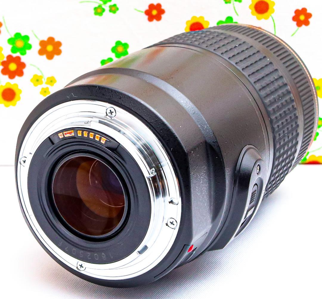 Canon EF 75-300mm IS USM☆超望遠レンズ☆大人気望遠レンズ