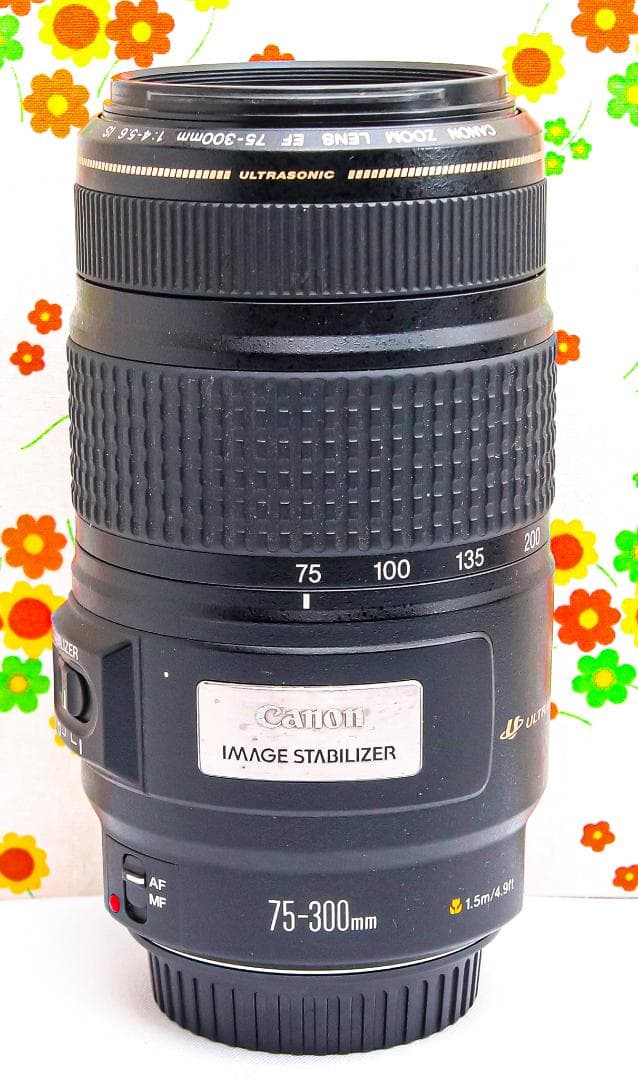 Canon EF 75-300mm IS USM☆超望遠レンズ☆大人気望遠レンズ