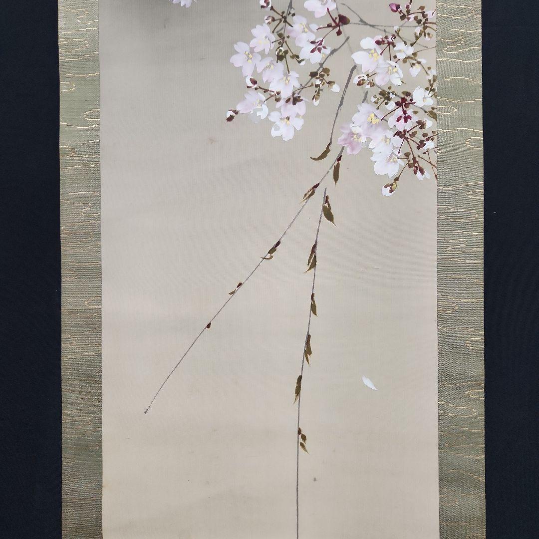 掛軸　今井景樹「夜桜図」