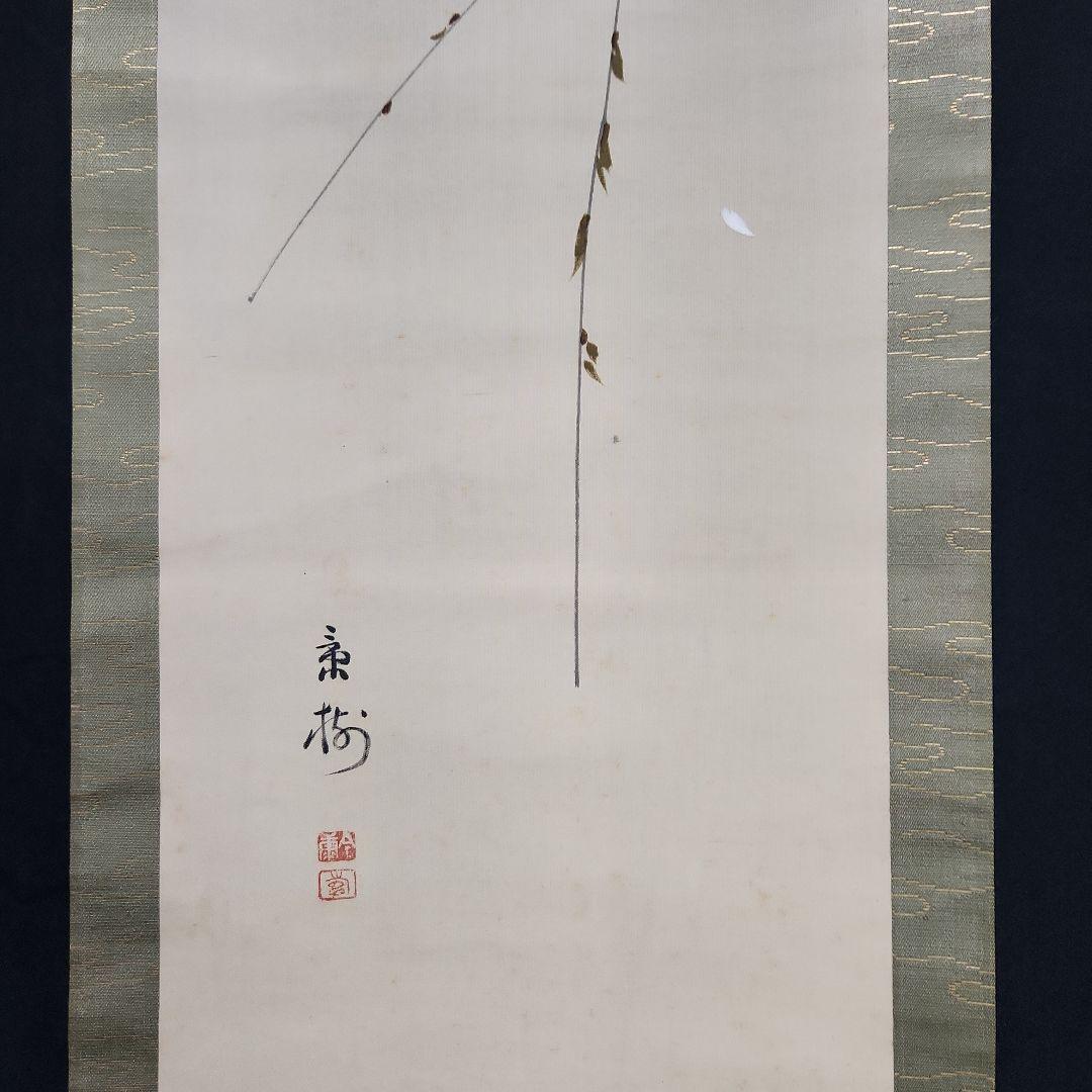 掛軸　今井景樹「夜桜図」