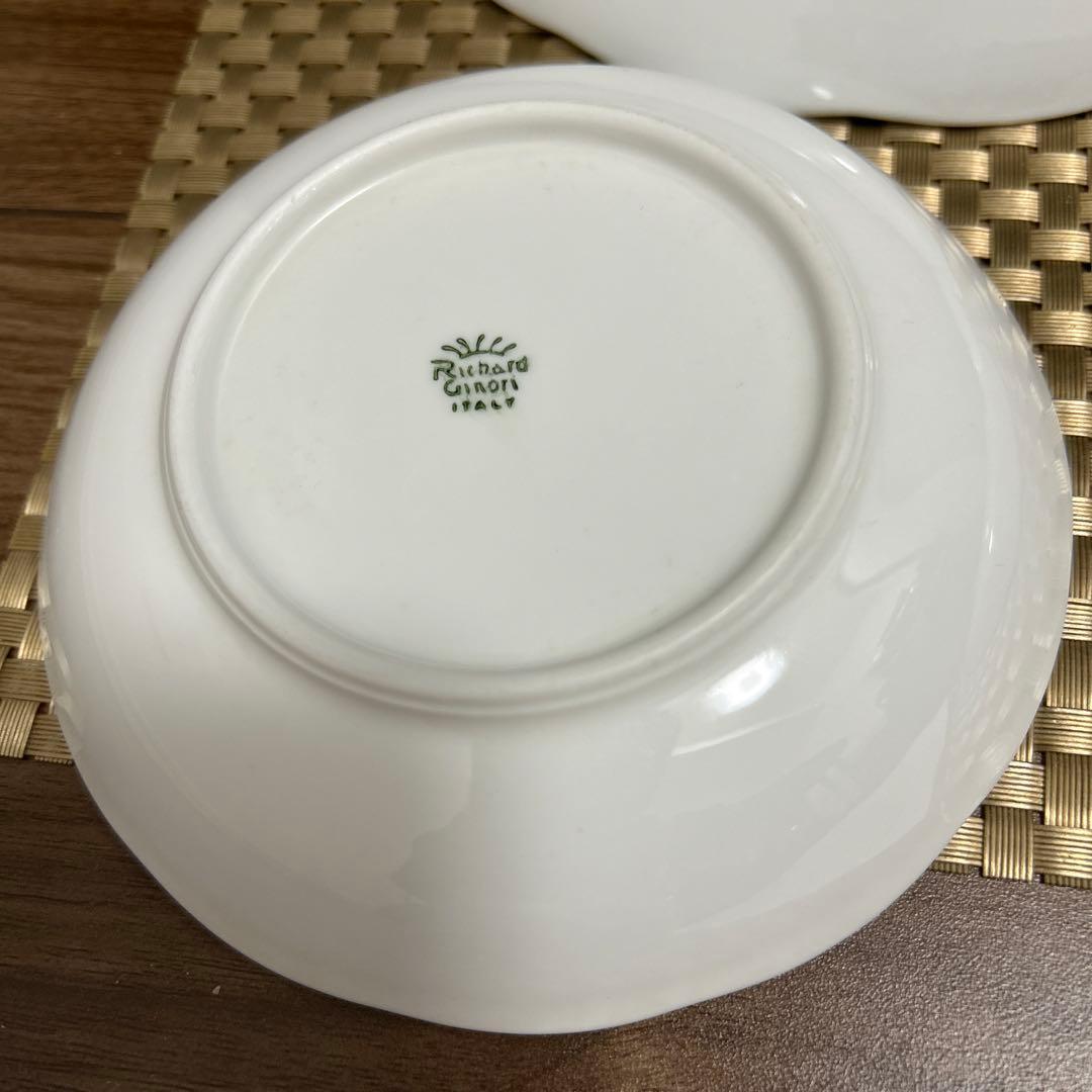 Richard Ginori✨ディシユラウンド✨ Sサイズ4枚 & Lサイズ1枚