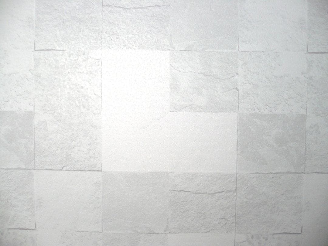 【おまけ多数】Panasonic LUMIX DMC-FS2 動作確認済み♪