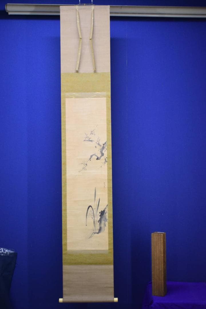 真作/狩野常信/梅花水仙図/布袋屋掛軸HH-912