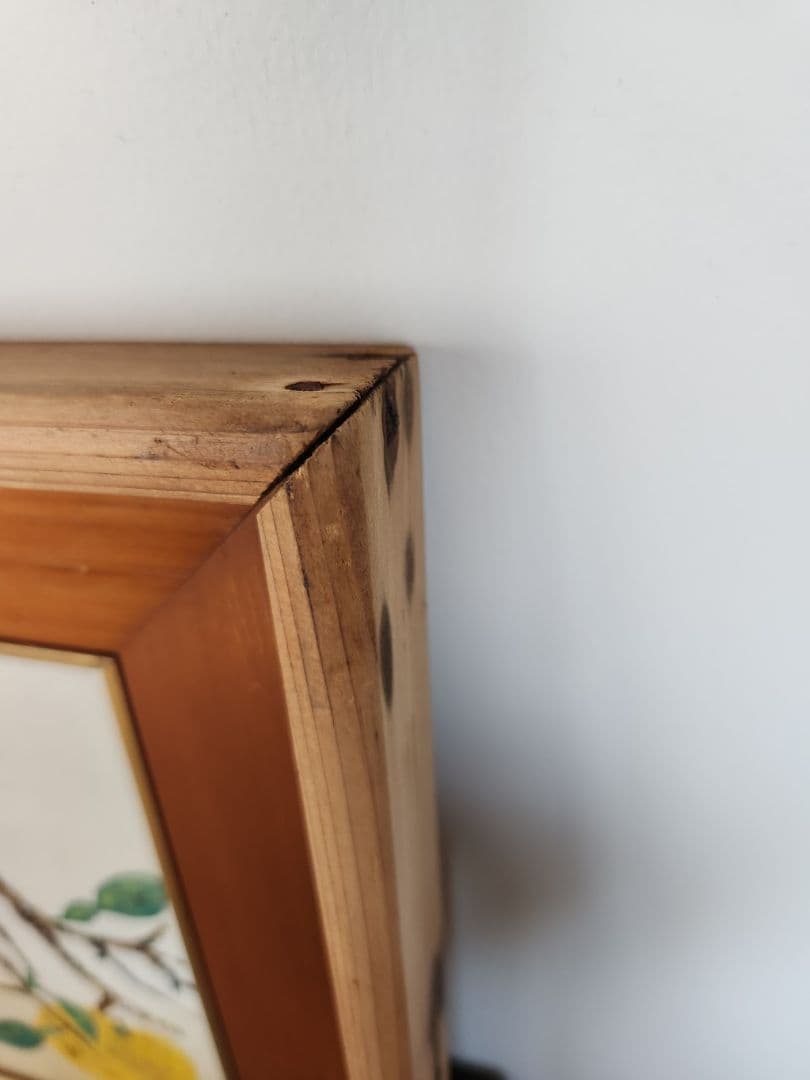 額絵　柑橘類　七宝焼