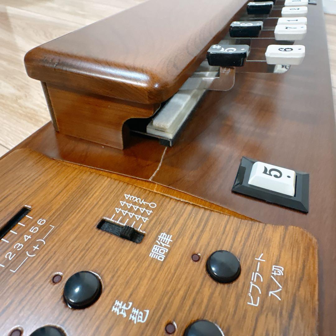 ✨良品✨ SUZUKI TES-100 電気大正琴 ハードケース付き 正常動作品