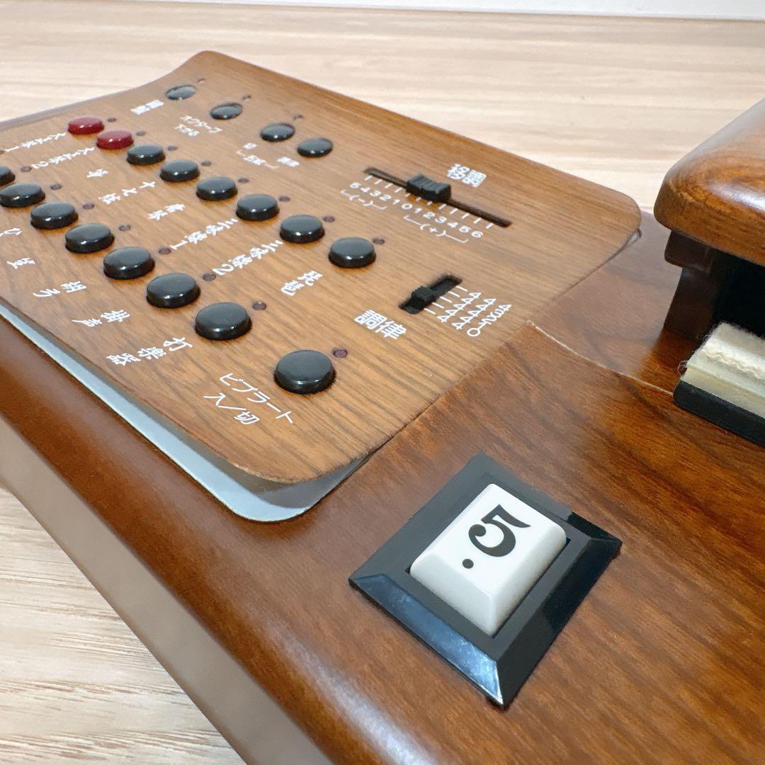 ✨良品✨ SUZUKI TES-100 電気大正琴 ハードケース付き 正常動作品