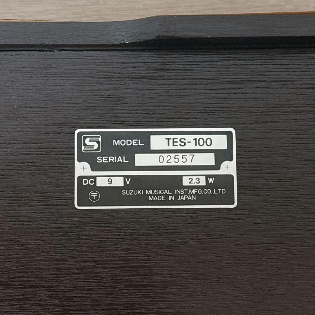 ✨良品✨ SUZUKI TES-100 電気大正琴 ハードケース付き 正常動作品