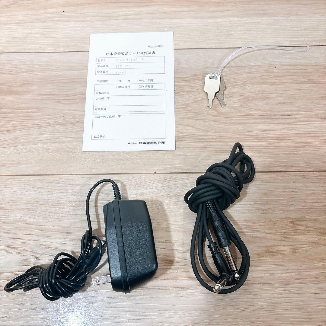 ✨良品✨ SUZUKI TES-100 電気大正琴 ハードケース付き 正常動作品