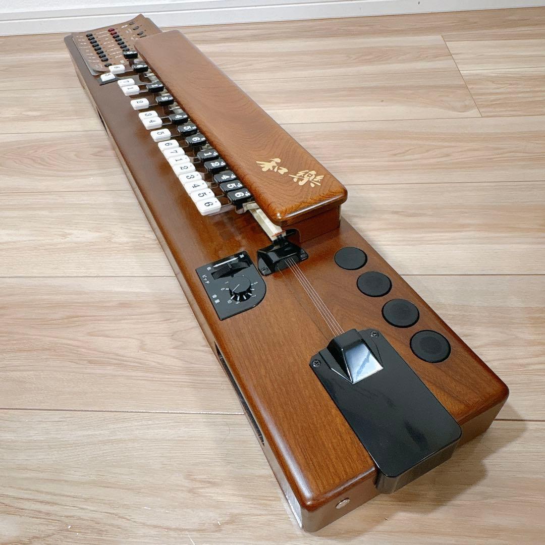 ✨良品✨ SUZUKI TES-100 電気大正琴 ハードケース付き 正常動作品