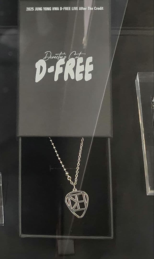 CNBLUE ヨンファ ネックレス ソロコン D-FREE ソロコンサート