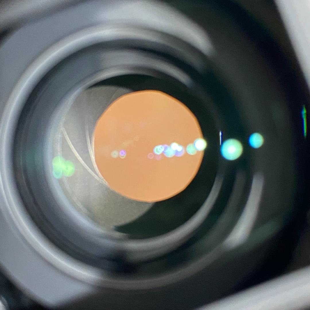 FE 24-105mm F4 G OSS SEL24105G 付属品完備