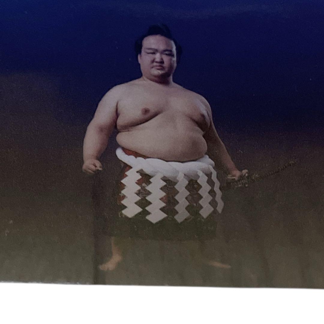 【極美品】二所ノ関親方 稀勢の里 番付表パズル 直筆サイン入り