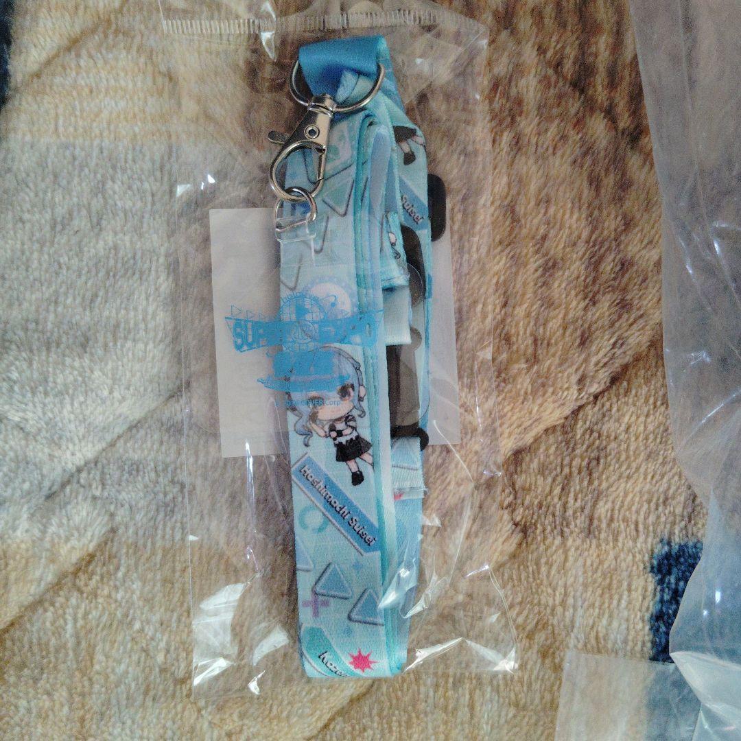 ホロライブ引退品、EXPOグッツとEXPO後夜祭グッツまとめ売り