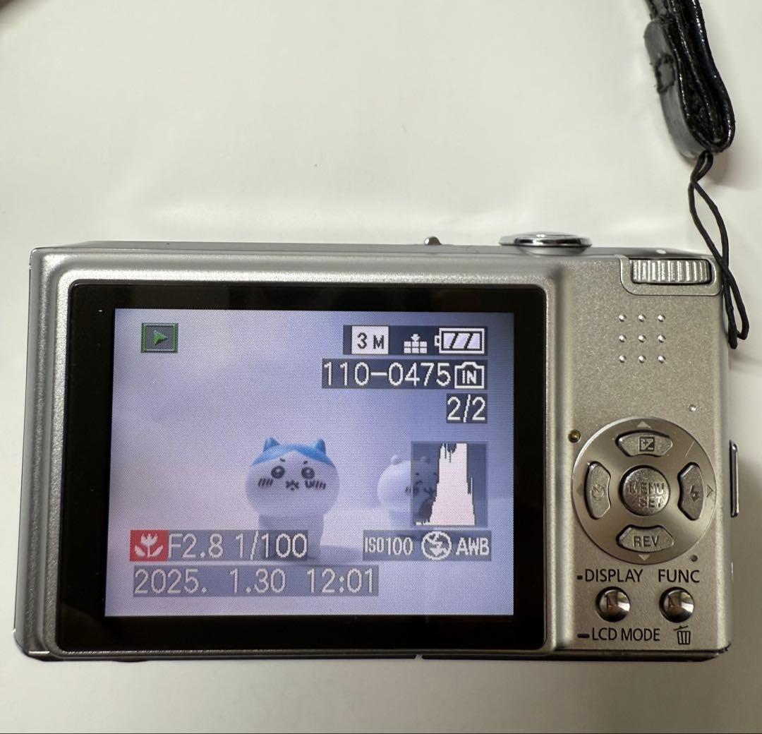Panasonic DMC-FX33 シルバー　ケース、メモリ付き