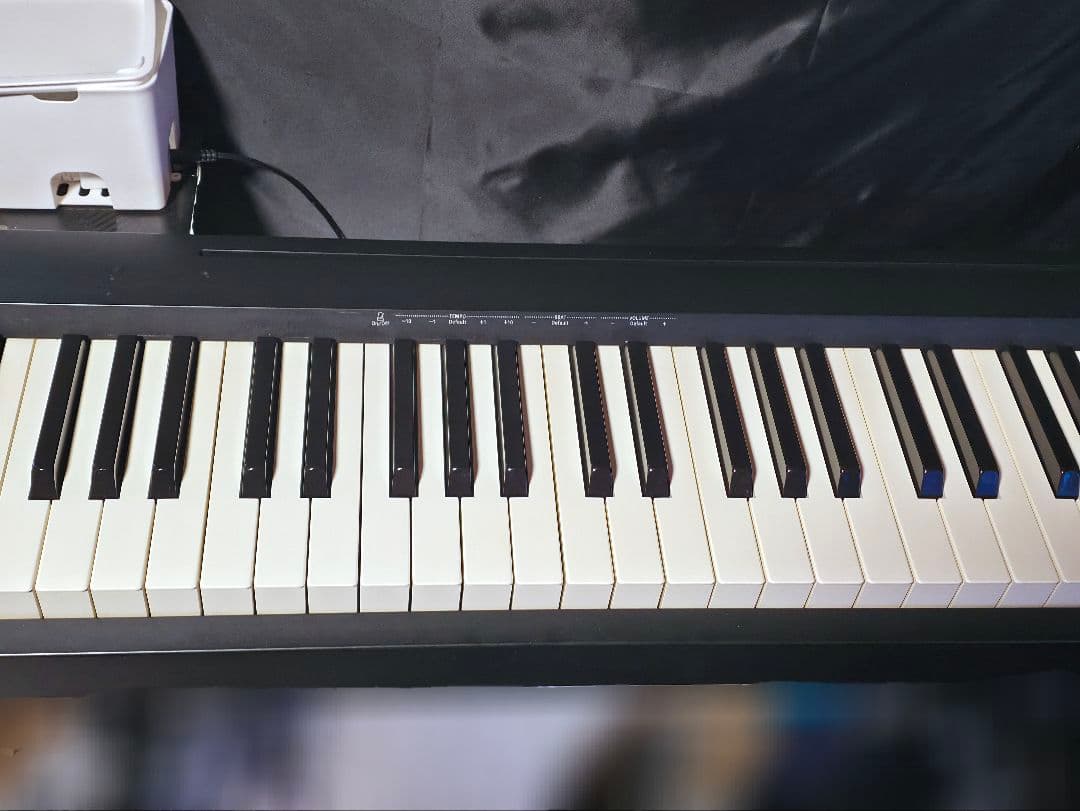【ジャンク】ローランド FP-10 電子ピアノ