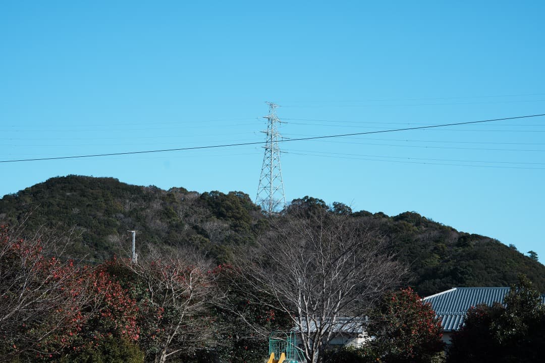 レンズ(単焦点) Carl Zeiss S-Planar 60mm F2.8 AEG 955