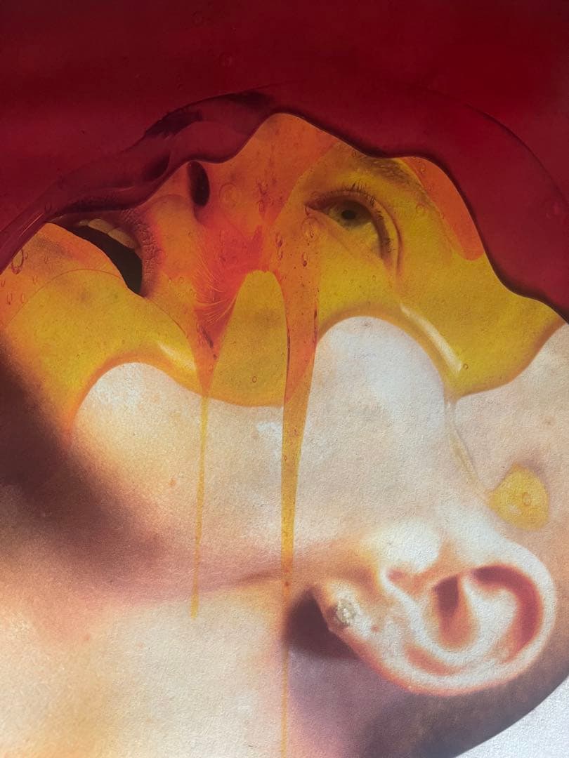 *非販売品*映画館用両面印刷ポスターUS版:ブゴニア