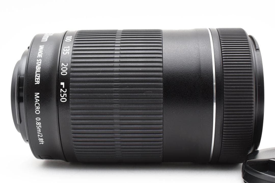 ■美品■キヤノン EF-S55-250mm F4-5.6 IS STM
